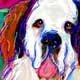 portrait saint bernard