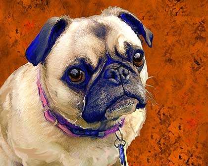 pug art