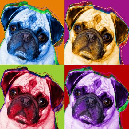 pop art pug