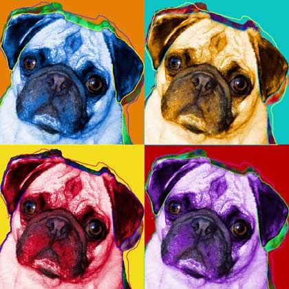 popa rt puggie