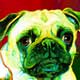 pug art