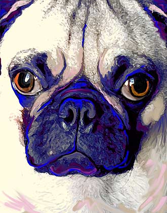 chinese pug art