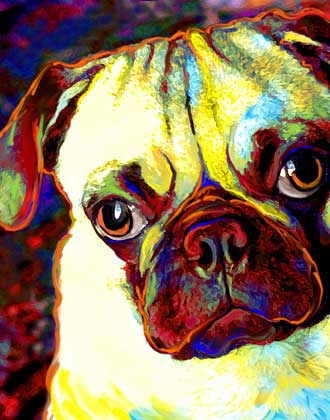 chinese pug art