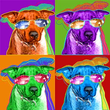 cool dog art