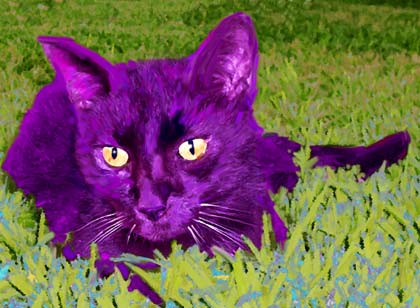 cat painting
