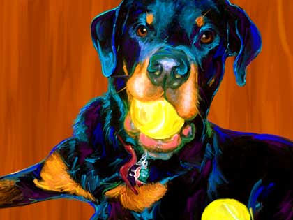 Rottweiler