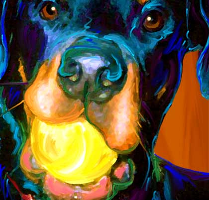 Rottweiler