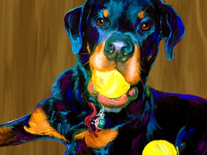 Rottweiler