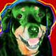 rottie artwork