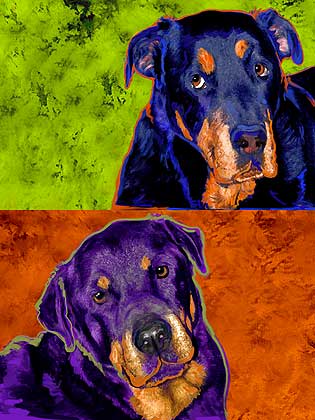 rottweiler