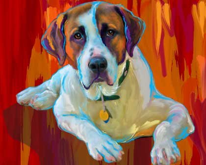 saint bernard
