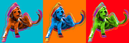original dog art portarits