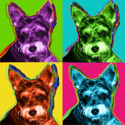 schnauzer art