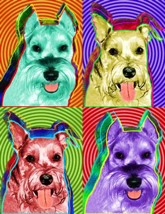 schnauzer art