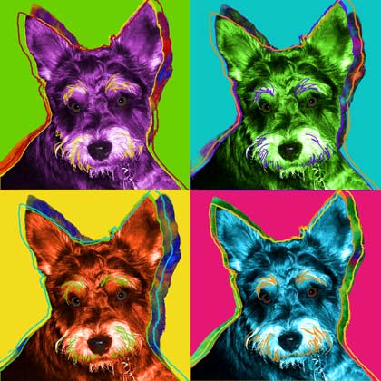 mini schnauzer art