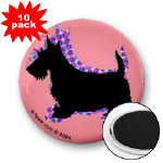 scottish terrier magnets