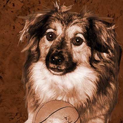 dog art portrait