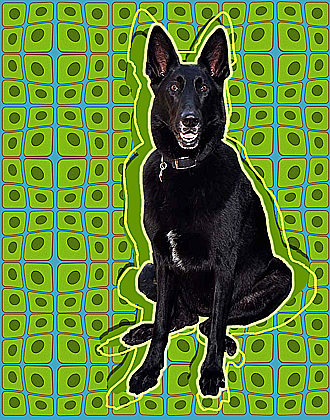 german shepherd art