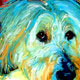 sheepdog print