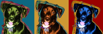 original dog art