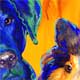 dog portraits