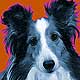 sheltie portrait art