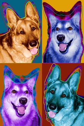 german shepherd art