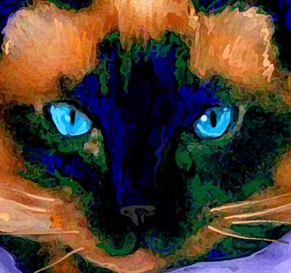 siamese cat art