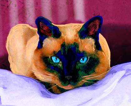 siamese cat art