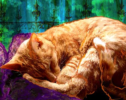 cat art