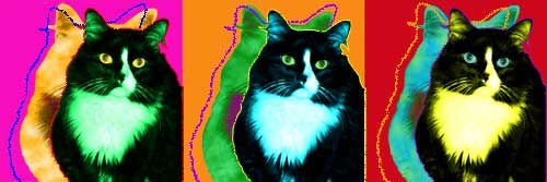 cat art