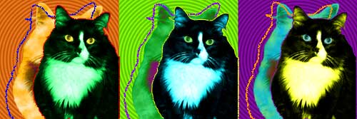 cat art