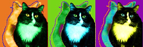 cat art