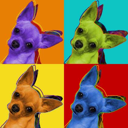 chihuahua art