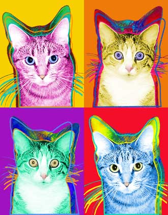 cool cat art