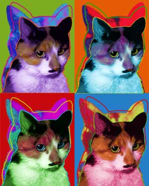 cat art