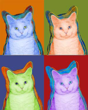kitty