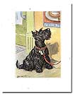 vintage Scottie dog card