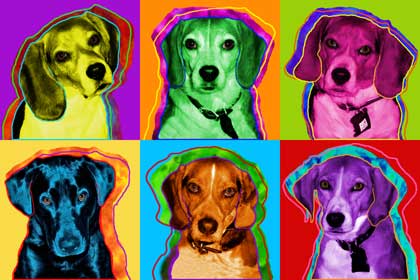 beagle art