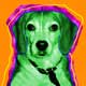 fine dog art