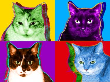 cat art