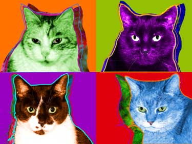 warhol cat art