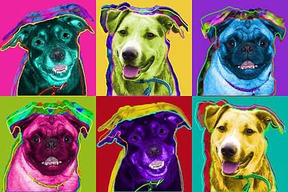 pop art dogs