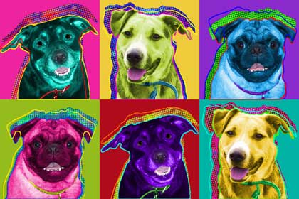 warhol dog art