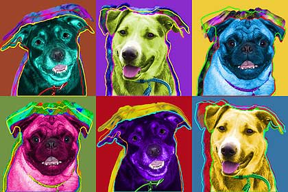 dog art warhol