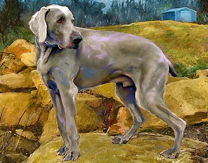 weim art