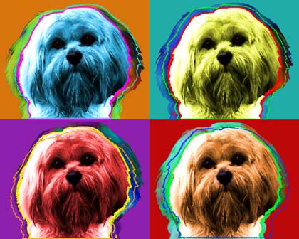 original dog art