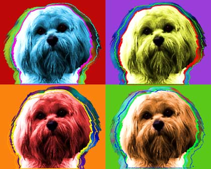 original dog art