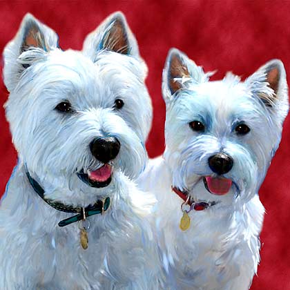 westie art