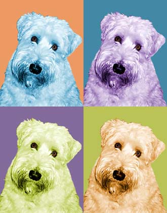 wheaten terrier art